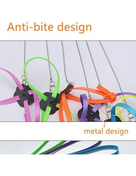 Conjunto Arnés y Correa Hypeety para Dragón Barbudo Reptiles