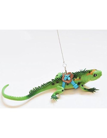 Conjunto Arnés y Correa Hypeety para Dragón Barbudo Reptiles