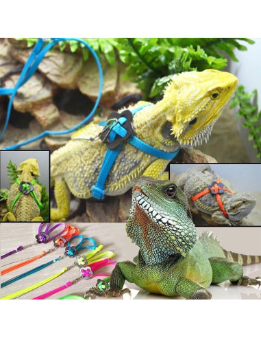 Conjunto Arnés y Correa Hypeety para Dragón Barbudo Reptiles