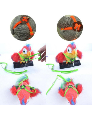 Conjunto Arnés y Correa Hypeety para Dragón Barbudo Reptiles