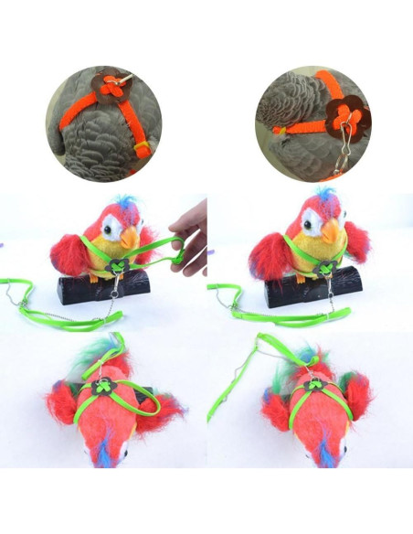 Conjunto Arnés y Correa Hypeety para Dragón Barbudo Reptiles