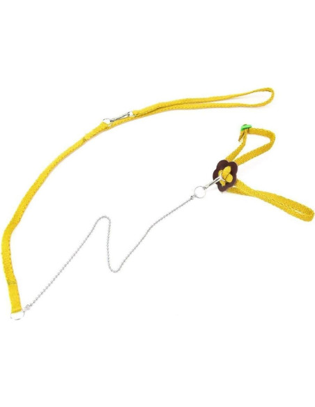 Conjunto Arnés y Correa Hypeety para Dragón Barbudo Reptiles