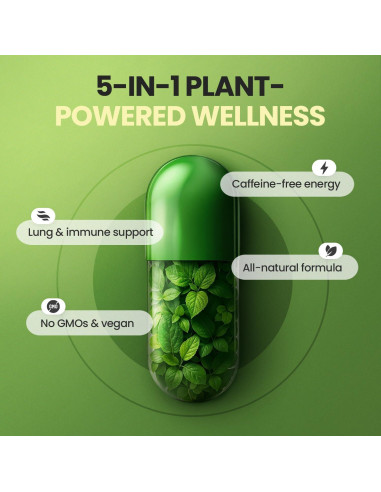 Cápsulas de Moringa Vitamax 60ct - Suplemento Energético y Inmunológico