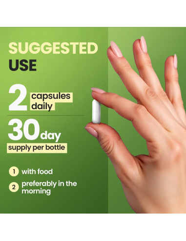 Cápsulas de Moringa Vitamax 60ct - Suplemento Energético y Inmunológico