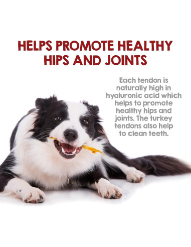 Tendones de Pavo Riley's 100% Natural para Perros 113 g