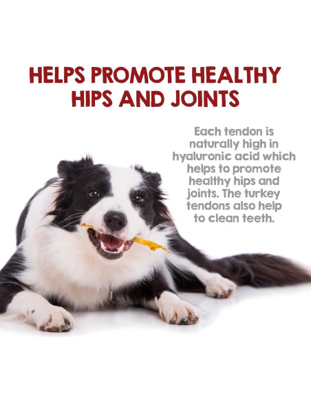 Tendones de Pavo Riley's 100% Natural para Perros 113 g