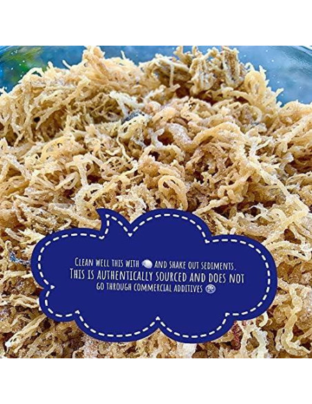 Musgo Marino Irlandés 100% Natural Sweet Sunnah 227g