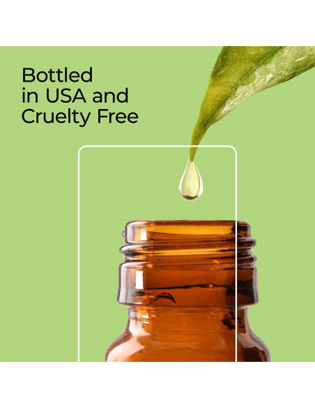 Aceite de Fragancia Good Essential Sidra de Manzana 10ml