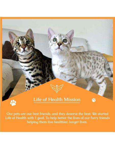 Antibióticos Naturales para Gatos Vida de Salud - 2 Unidades