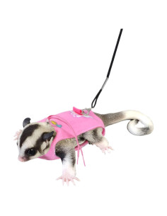 Arnés y Correa Ajustable para Sugar Glider vomvomp - Seguridad y Comodidad