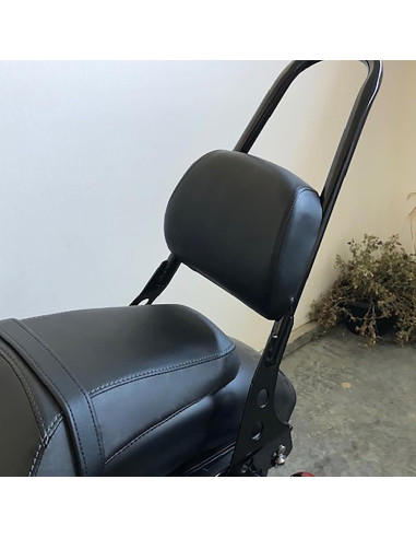 Cojín de Respaldo HDBUBALUS para Motocicleta Harley XL883/XL1200 2004-2023