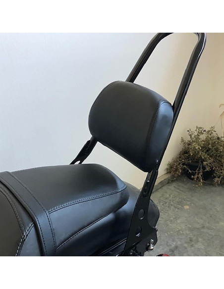Cojín de Respaldo HDBUBALUS para Motocicleta Harley XL883/XL1200 2004-2023