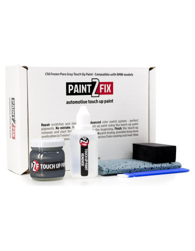 Pintura de Retoque PAINT2FIX C5A Gris Puro Congelado 75ml