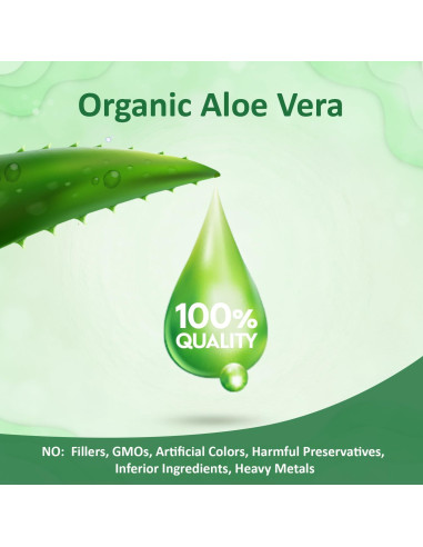 Suplemento de Aloe Vera Softgel 1st Aid - 120 Cápsulas