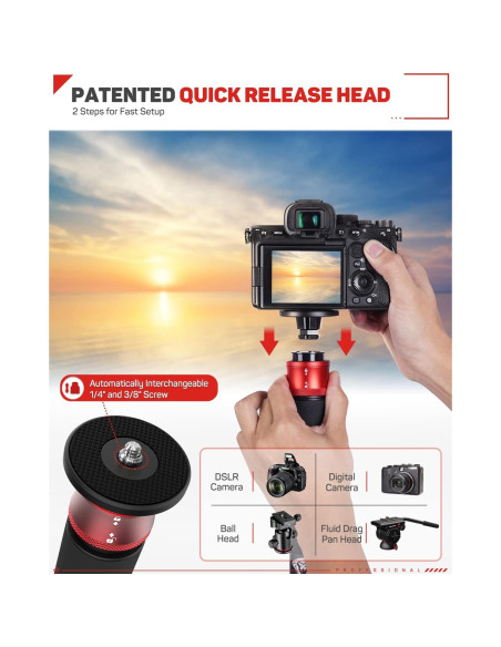 Monopie IFOOTAGE 180 cm Fibra de Carbono C180-II Profesional Monopie IFOOTAGE 180 cm Fibra de Carbono C180-II Profesional