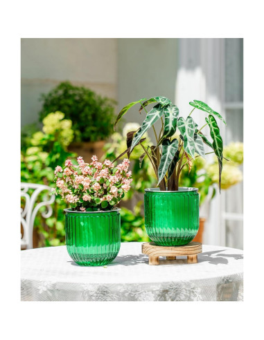 Macetas Autorriego Melphoe 13.5 cm Esmeralda para Plantas