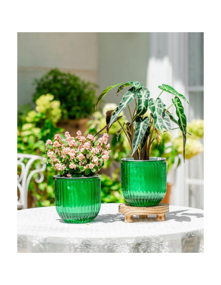 Macetas Autorriego Melphoe 13.5 cm Esmeralda para Plantas