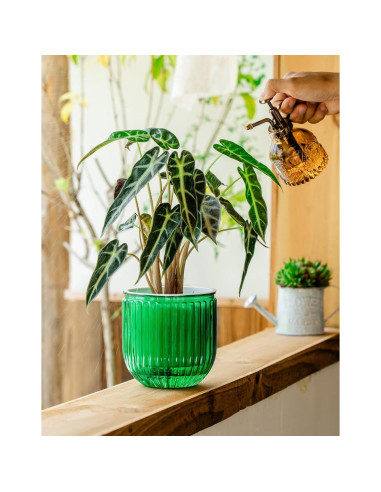 Macetas Autorriego Melphoe 13.5 cm Esmeralda para Plantas