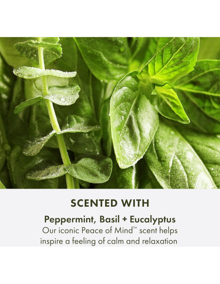 Crema Hidratante para Manos Origins Peace of Mind 73.93 ml