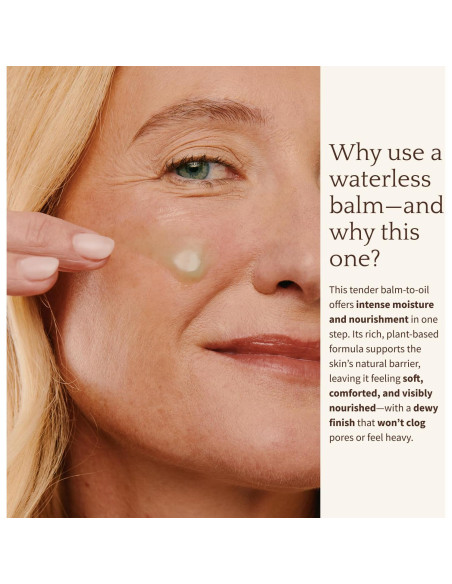 Hidratante Facial Intenso de Cactus Bambu Earth 4g - Suero Prensado Hidratante Facial Intenso de Cactus Bambu Earth 4g - Suero Prensado