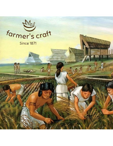 Aceite de Semilla de Calabaza 100% Puro Farmer's Craft 60 ml