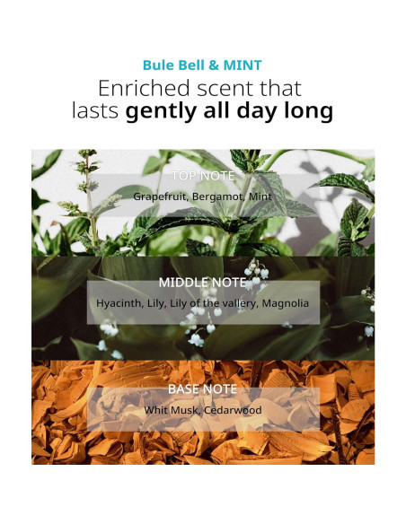 Champú Refrescante SAN TTEUT 502 ml pH 5.5 Menta y Almizcle