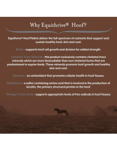 Suplemento para Pezuñas de Caballo Equithrive 4.54 kg 2