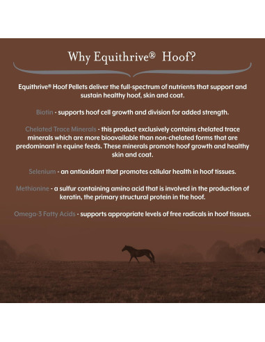 Suplemento para Pezuñas de Caballo Equithrive 4.54 kg