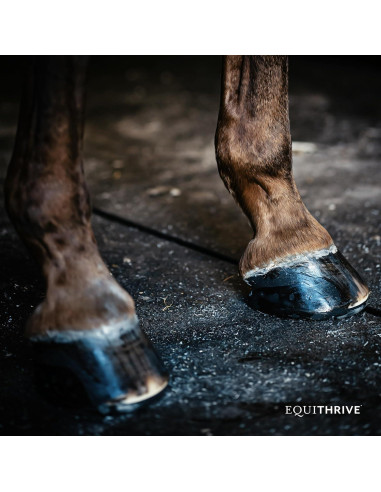 Suplemento para Pezuñas de Caballo Equithrive 4.54 kg