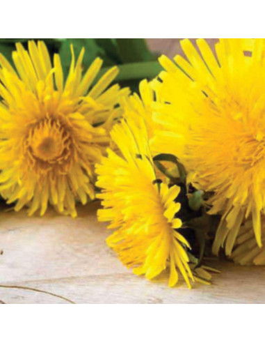 Gel Balsámico Purificante Facial Vegano YASOU 130g