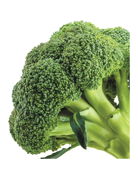 Gel Balsámico Purificante Facial Vegano YASOU 130g