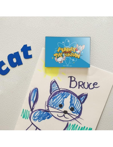 Imán de Nevera Acrílico Pinky y Cerebro 7.6x5.1cm