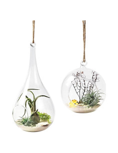 Mkono 2 Pack Terrarios Colgantes de Vidrio para Plantas