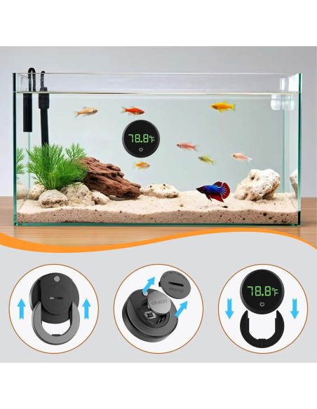 Termómetro Digital Acuario Carefree Fish CR2032 Pantalla LED