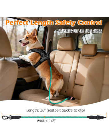 Cinturón de Seguridad para Perros PetBonus Arnés Turquesa