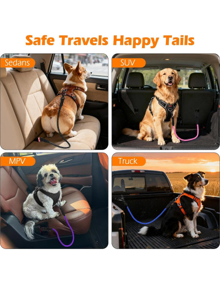 Cinturón de Seguridad para Perros PetBonus Arnés Turquesa