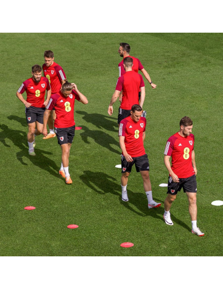 Marcadores de Disco Plano FORZA - Estándar 17.8cm - Juego de 10