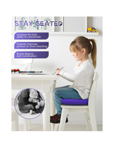 Cojín Inestable SpaseMaxxx 34 cm con Bomba Inflación