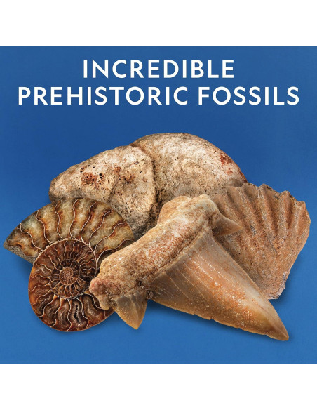 Kit de Rocas y Fósiles National Geographic - 300 Piezas Kit de Rocas y Fósiles National Geographic - 300 Piezas