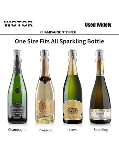 Tapones de Champagne WOTOR Acero Inoxidable 2 Piezas A Prueba de Fugas