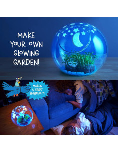 Terrario Luminoso Thames & Kosmos - Cultiva Alfalfa y Decora 2