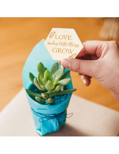 Etiquetas de Jardín AnyDesign 30 Pcs Madera Amor Crece