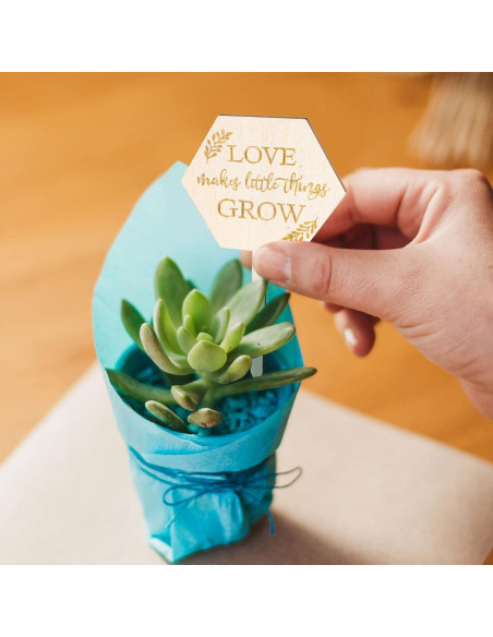 Etiquetas de Jardín AnyDesign 30 Pcs Madera Amor Crece