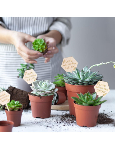 Etiquetas de Jardín AnyDesign 30 Pcs Madera Amor Crece