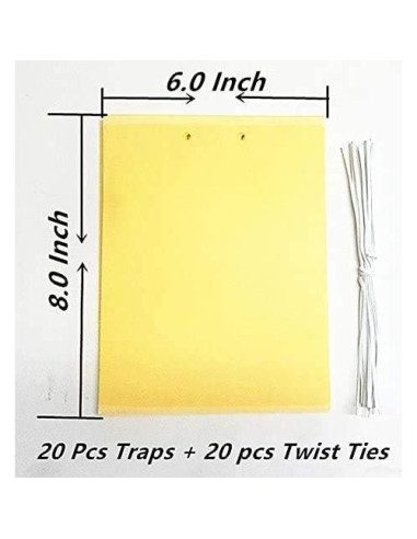 20 Trampas Adhesivas Doble Cara FULLSEXY 15.24x20.32cm Insectos