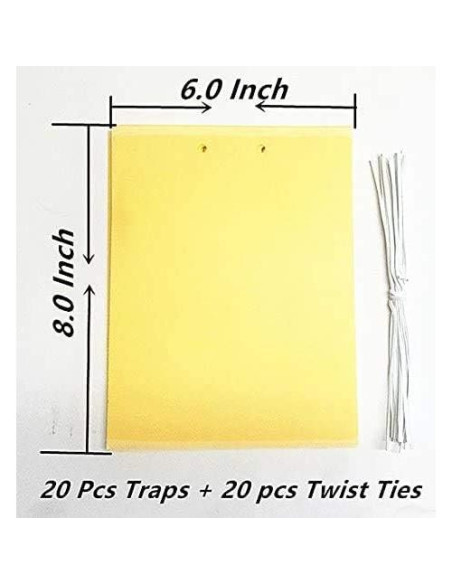 20 Trampas Adhesivas Doble Cara FULLSEXY 15.24x20.32cm Insectos