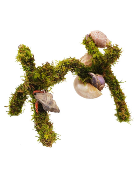 Juguete de Escalada para Cangrejo Ermitaño Jinymral 15 cm