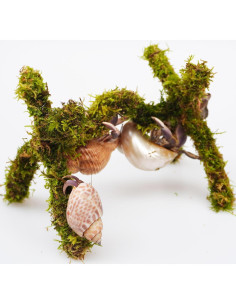 Juguete de Escalada para Cangrejo Ermitaño Jinymral 15 cm 2