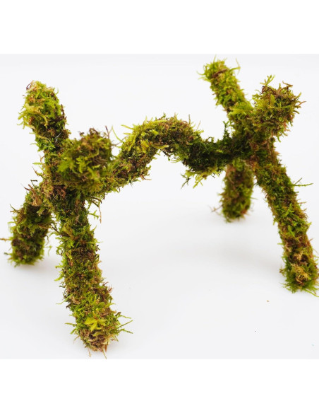 Juguete de Escalada para Cangrejo Ermitaño Jinymral 15 cm