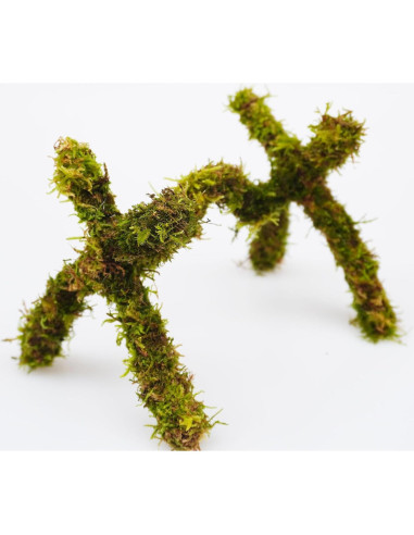 Juguete de Escalada para Cangrejo Ermitaño Jinymral 15 cm